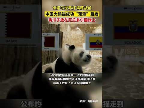 热刺瞄准根,特中锋,奥尔班,皇冠体育app下载,皇冠体育官网,澳门皇冠体育,bet皇冠体育在线