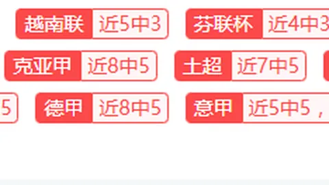 德国足协公布弗里克将于欧洲杯后正式担任德国国家队主教练。